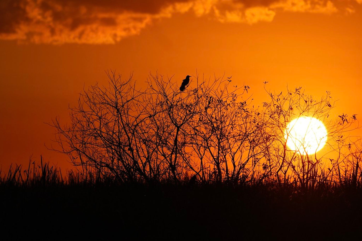 Sundown, South Florida. Photograph by Robin Mehdee, South Florida.