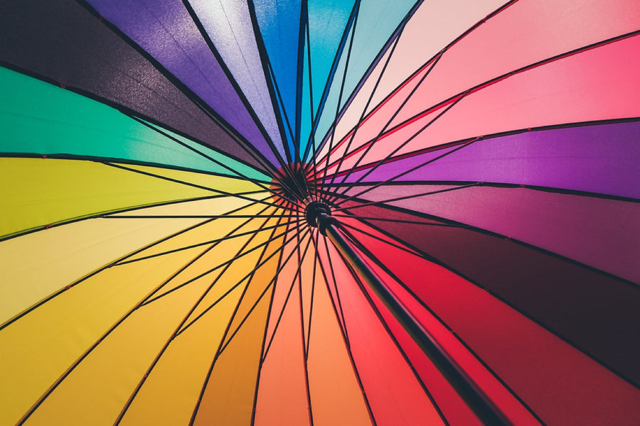 A wheel of color. Photograph by Robin Mehdee.