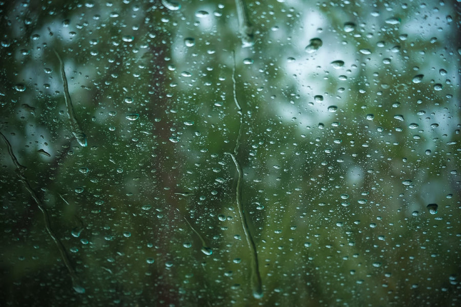 Rain on the glass. Photograph by Robin Mehdee.