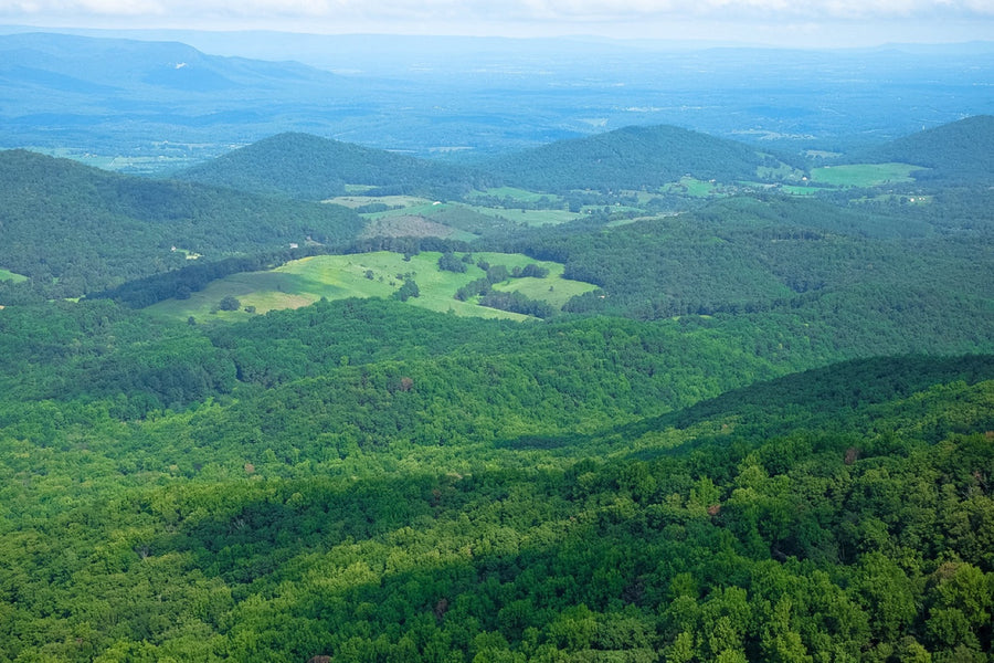 Rolling green hills of West Virginia. Photograph by Robin Mehdee.